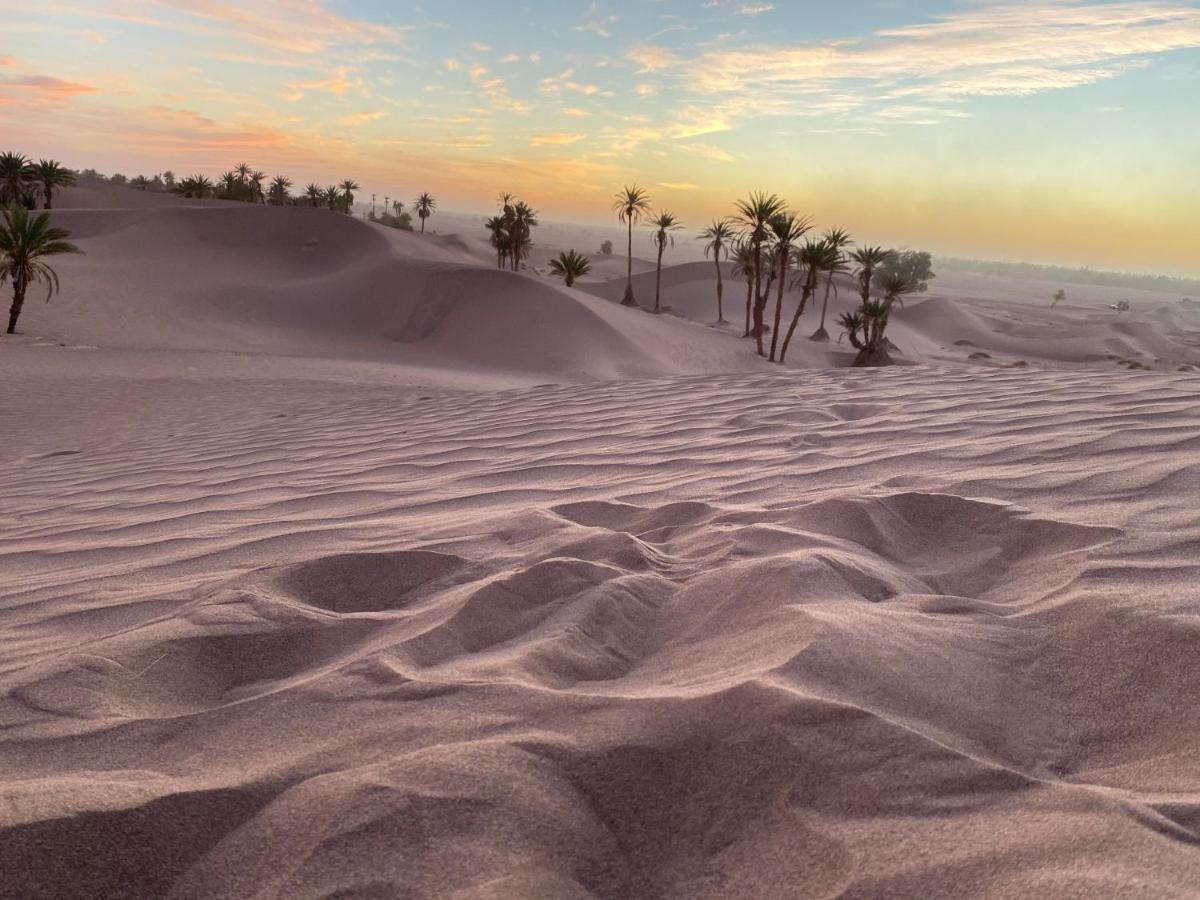 Camp Auberge Sahara Marokko มามิด ภายนอก รูปภาพ