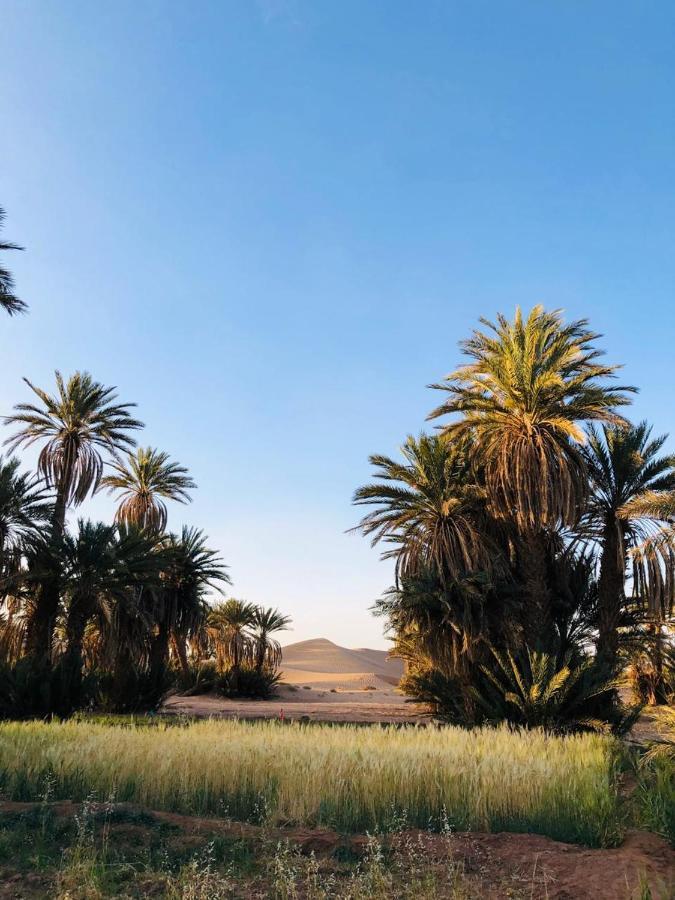 Camp Auberge Sahara Marokko มามิด ภายนอก รูปภาพ